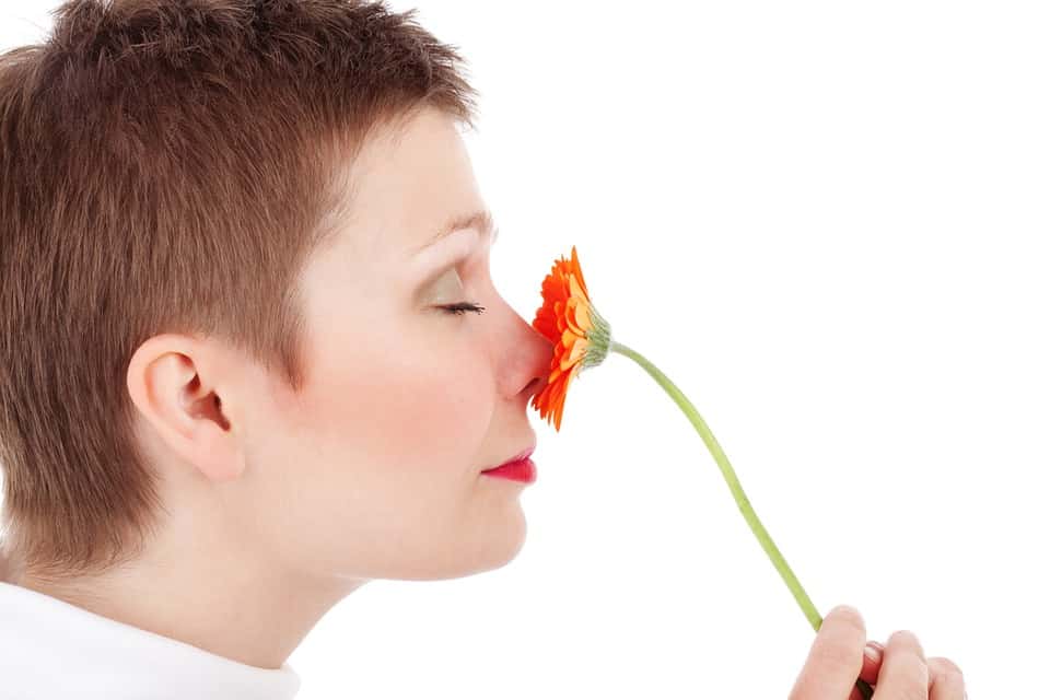 scent