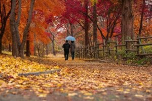 couple walking in park
