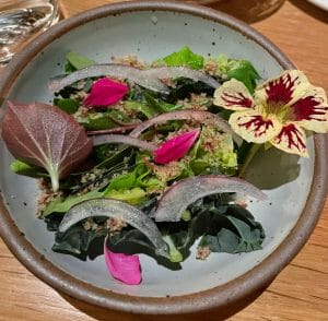 killed lettuce at Audrey's