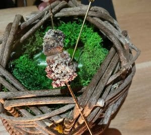 Pork Belly at Audrey's