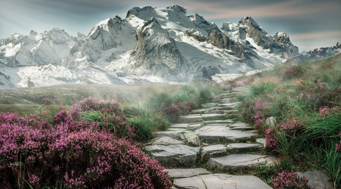 hiking trail