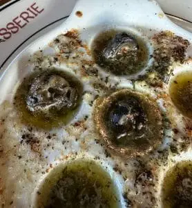 escargot