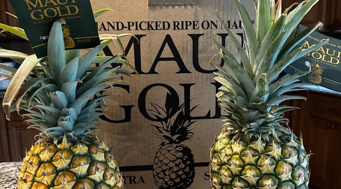 Two pineapples