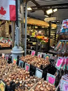 bulbs in amsterdam