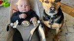 daisy and ollie