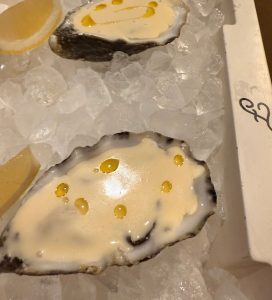 oysters