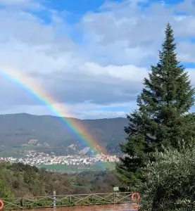 rainbow