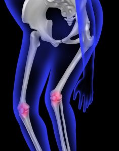 human knees