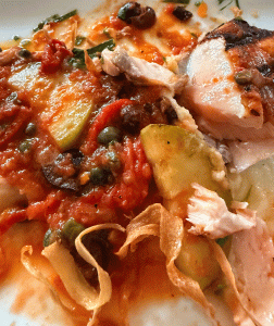 salmon